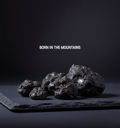 Himalayan Gold Shilajit - 50% OFF